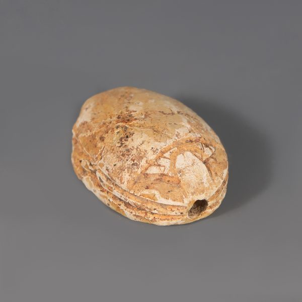 Egyptian Steatite Scarab Amulet with Winged Falcon Deity