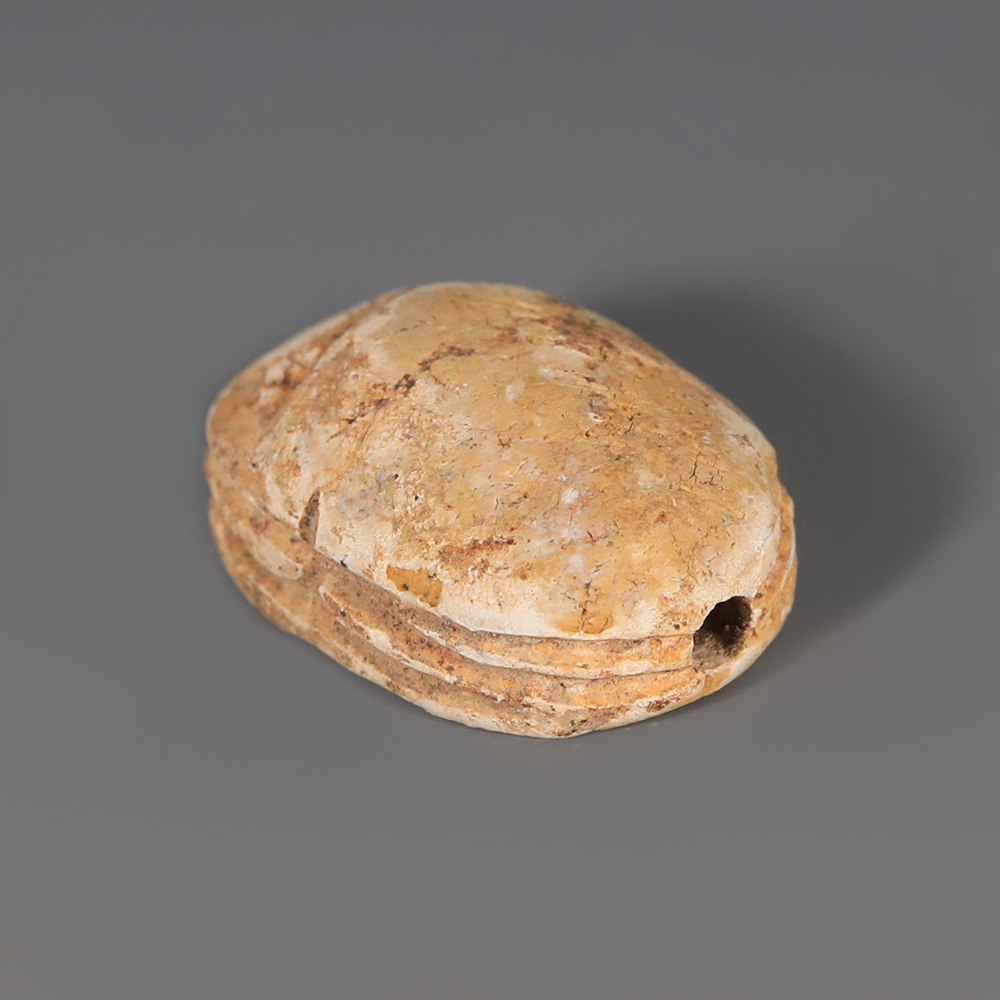 Egyptian Steatite Scarab Amulet with Winged Falcon Deity Egyptian Steatite Scarab Amulet with Winged Falcon Deity