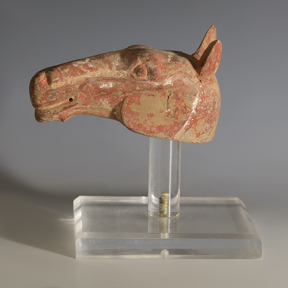 Chinese Han Dynasty Terracotta Horse Head Chinese Han Dynasty Terracotta Horse Head