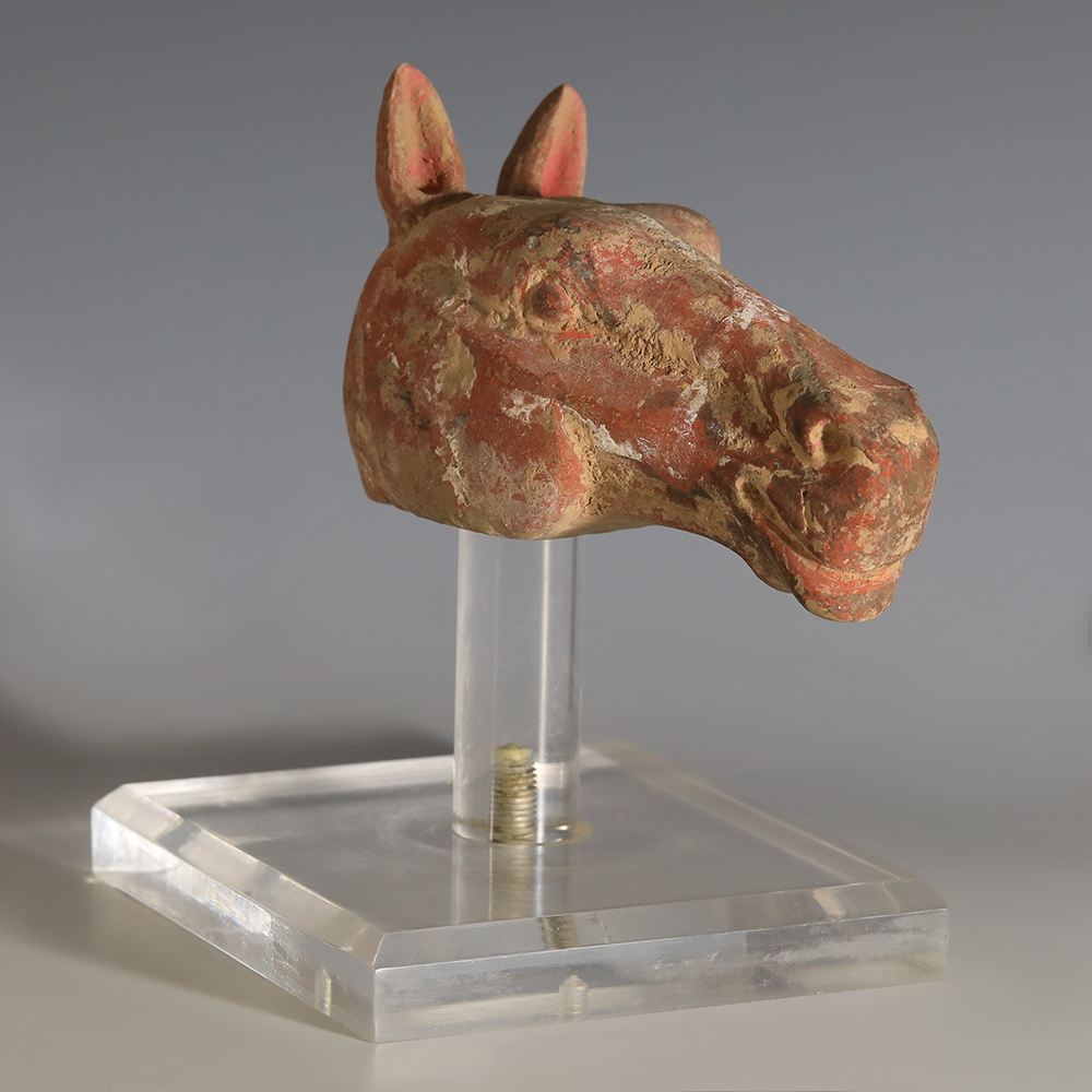 Chinese Han Dynasty Terracotta Horse Head Chinese Han Dynasty Terracotta Horse Head