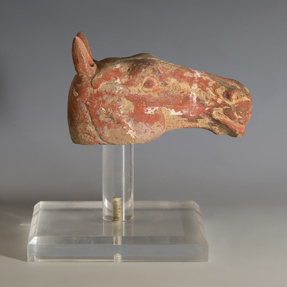 Chinese Han Dynasty Terracotta Horse Head Chinese Han Dynasty Terracotta Horse Head