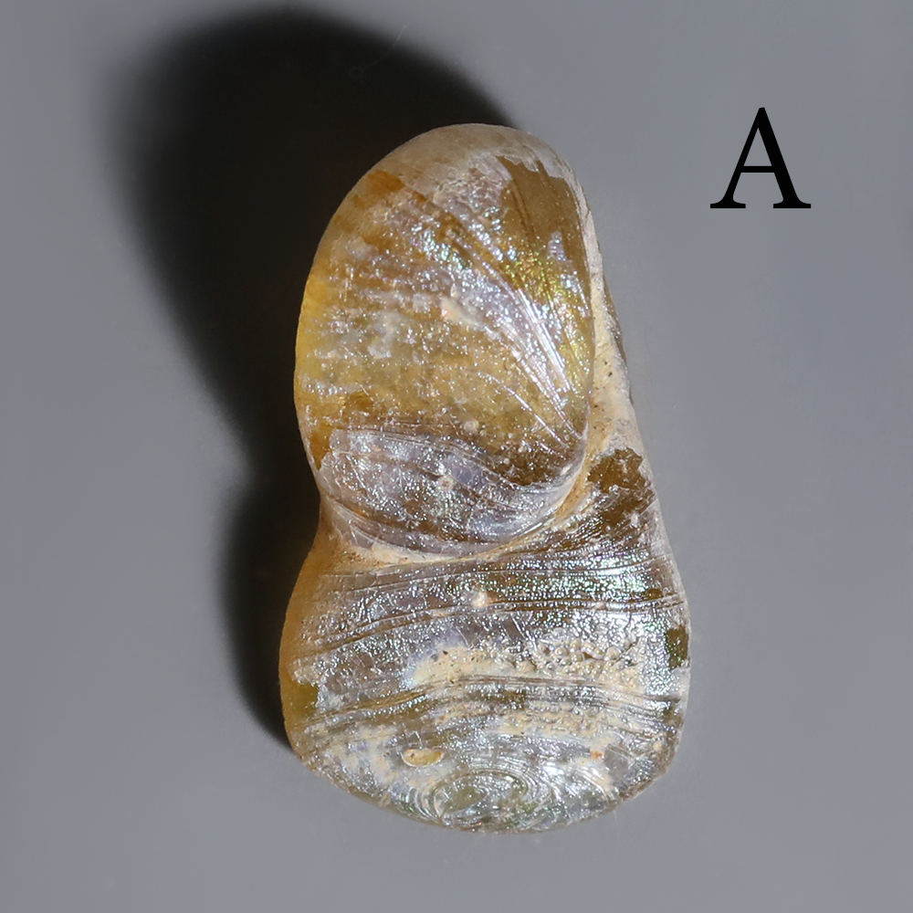 Selection of Roman Glass Circular Pendants Selection of Roman Glass Circular Pendants