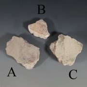Selection of Plaster Fragments from Pompeii