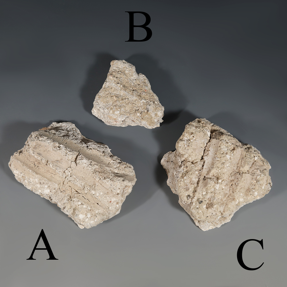 Selection of Plaster Fragments from Pompeii Selection of Plaster Fragments from Pompeii