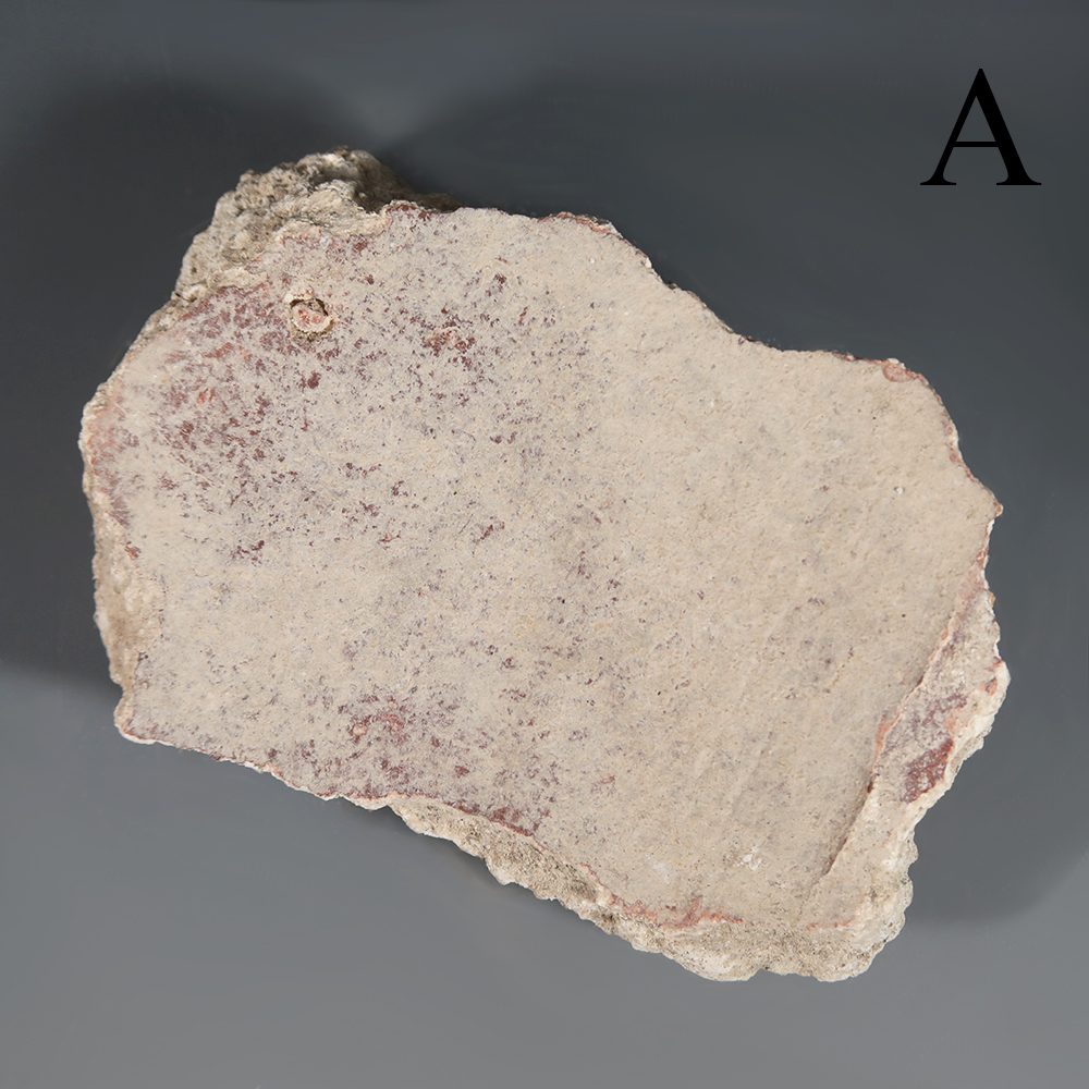 Selection of Plaster Fragments from Pompeii Selection of Plaster Fragments from Pompeii